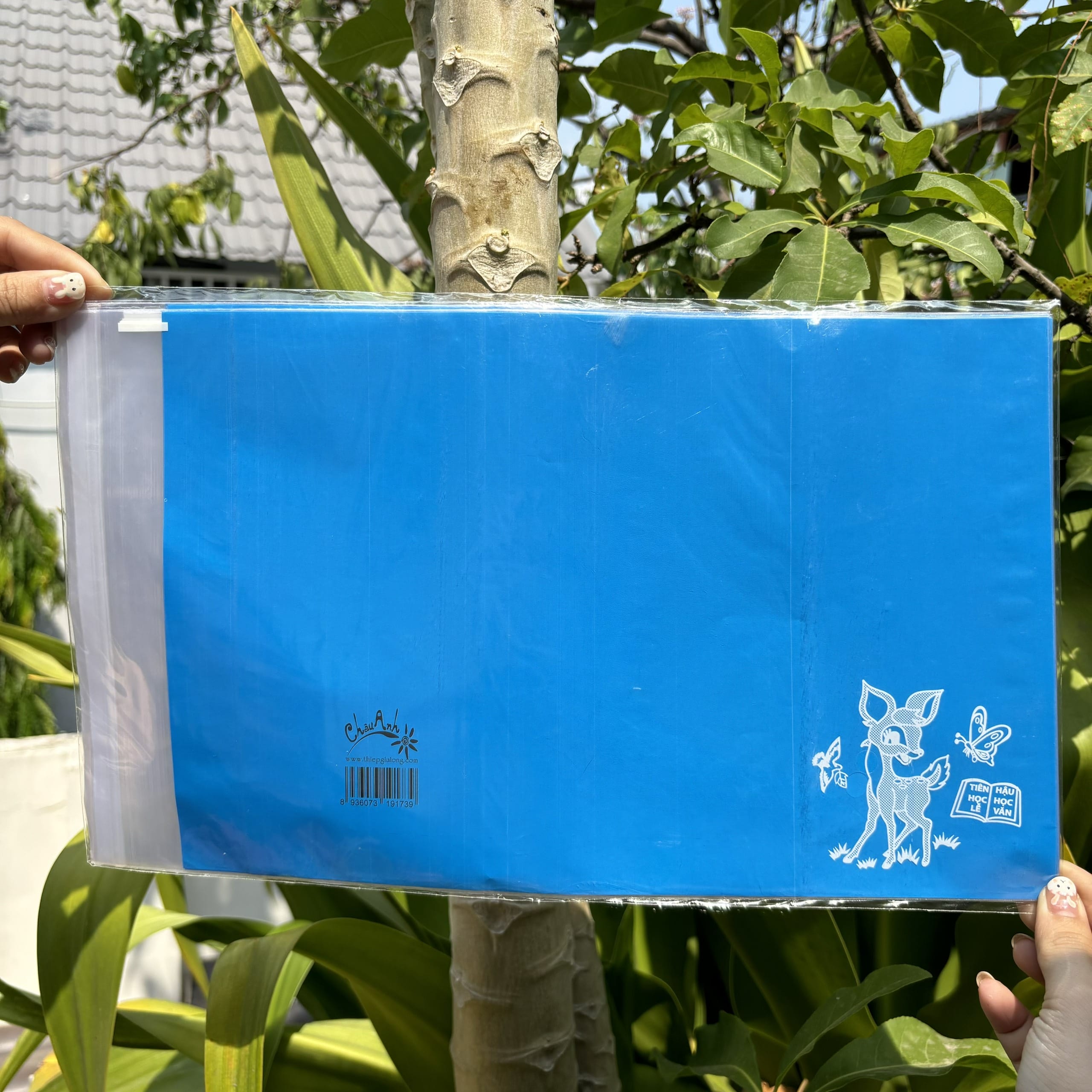 Bao tập nilon giấy màu thủ công nhiều màu (15.5x20.5cm)