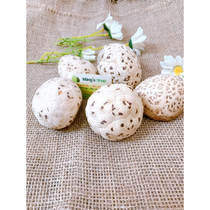 Nấm đông cô Nhật Bản loại 1 To - Thơm - Dày thịt ( Gói 100g Hút chân không)