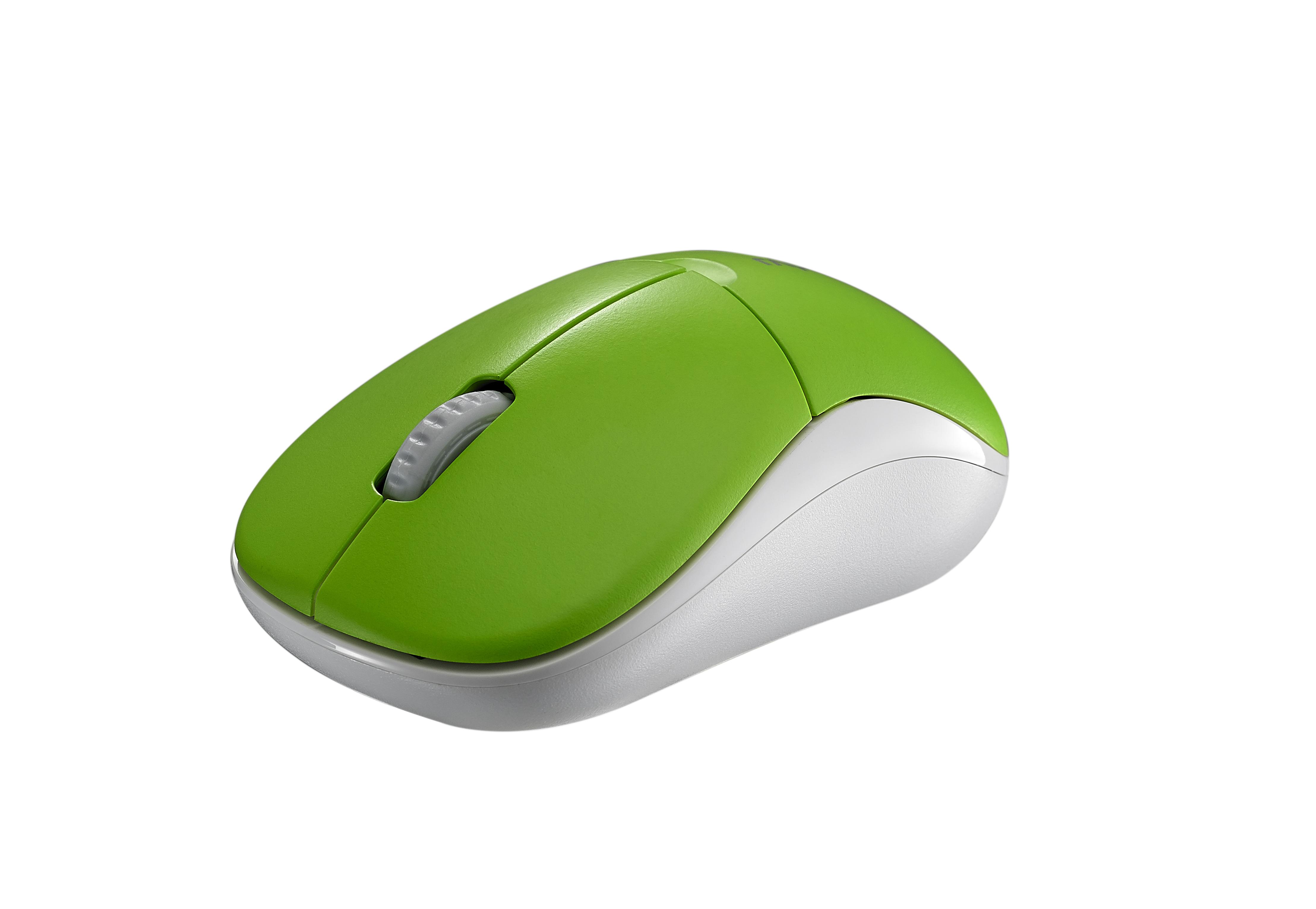 Mouse Rapoo 1090P