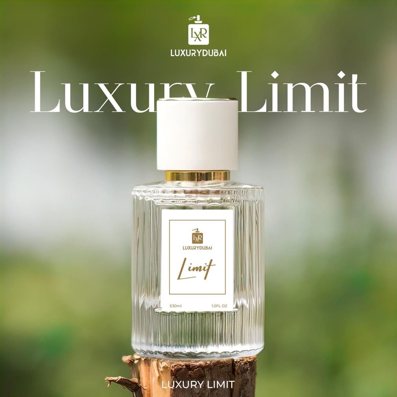 Nước Hoa Luxury Dubai phiên bản mới 2023