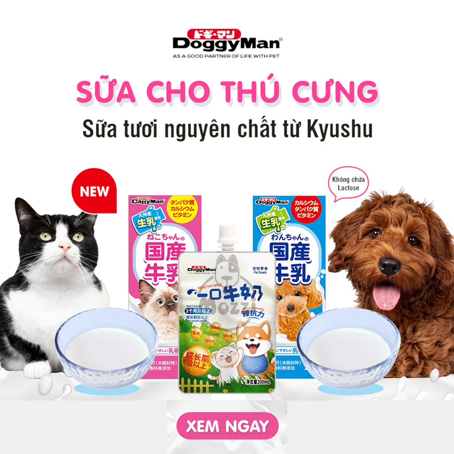 Sữa tươi cho chó mèo Doggyman Cattyman Hộp 200ml