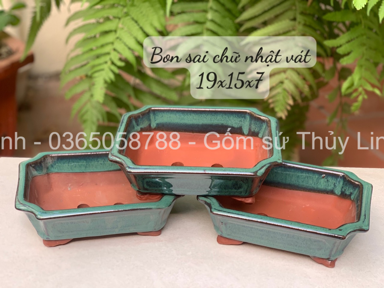 Chậu trồng cây cảnh bonsai, men xanh ngọc, giá từ xưởng