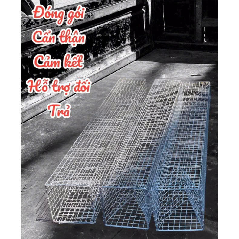 Snake Trap Cage with 2 Entrance Doors, 80 cm Long