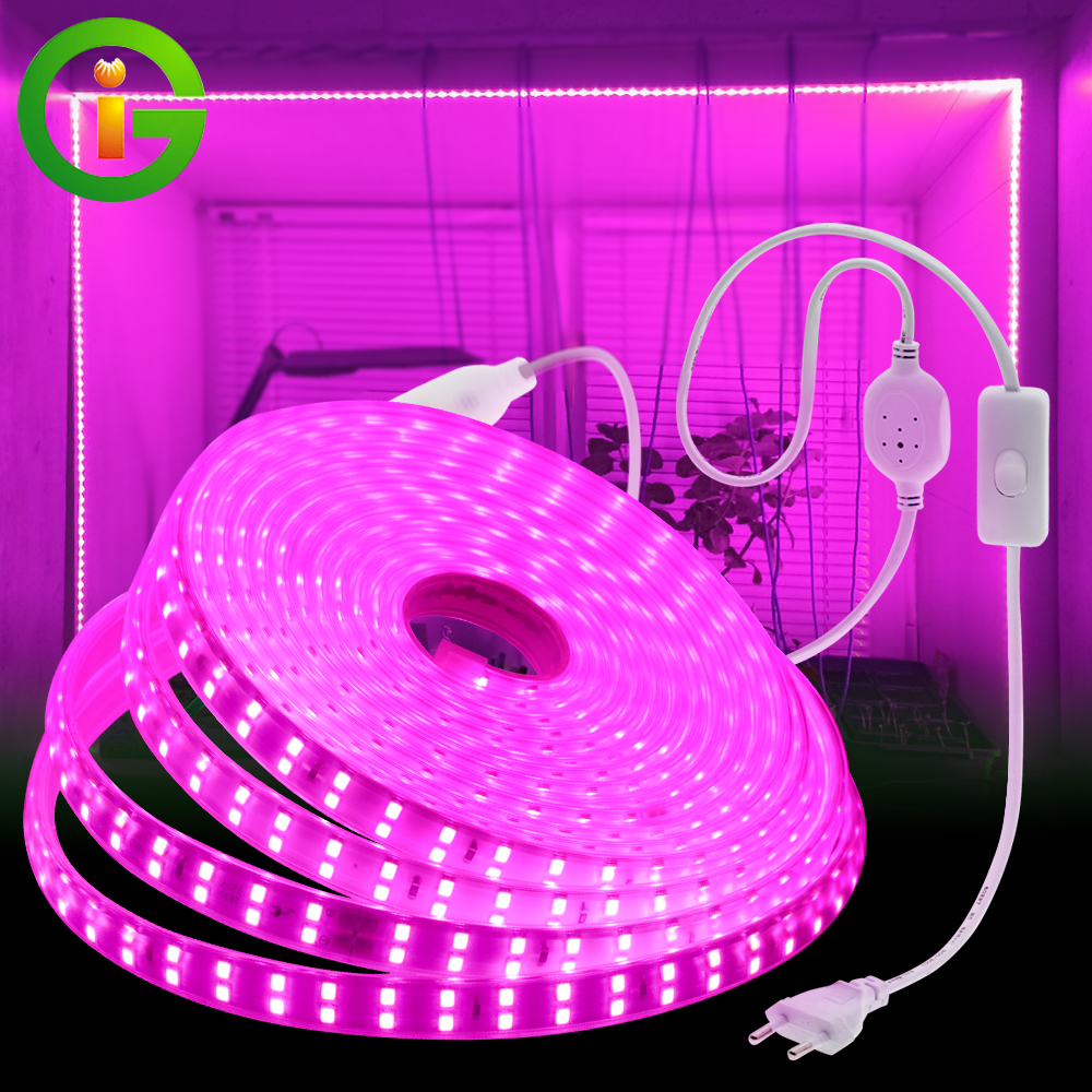220V Đèn phát triển thực vật 2835 Chip chống thấm nước đầy đủ dải LED cho cây trồng Hoa 180LEDs / M Hạt đèn gấp đôi Phytolamp cho bể nuôi trồng Lều Dải ánh sáng tăng trưởng màu tím