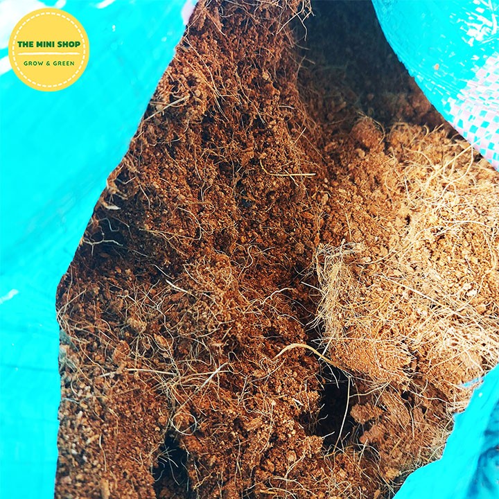 Xơ dừa - mùn dừa - tạo độ tơi xốp cho đất, trộn đất trồng rau sạch, cây ăn trái, cây cảnh, cây kiểng - giá thể trồng cây