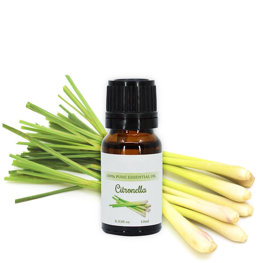 Tinh Dầu Sả Chanh Nguyên Chất Dùng Với Máy Khuếch Tán Tinh Dầu Giúp Khử Mùi Thơm Phòng Đuổi muỗi hiệu quả