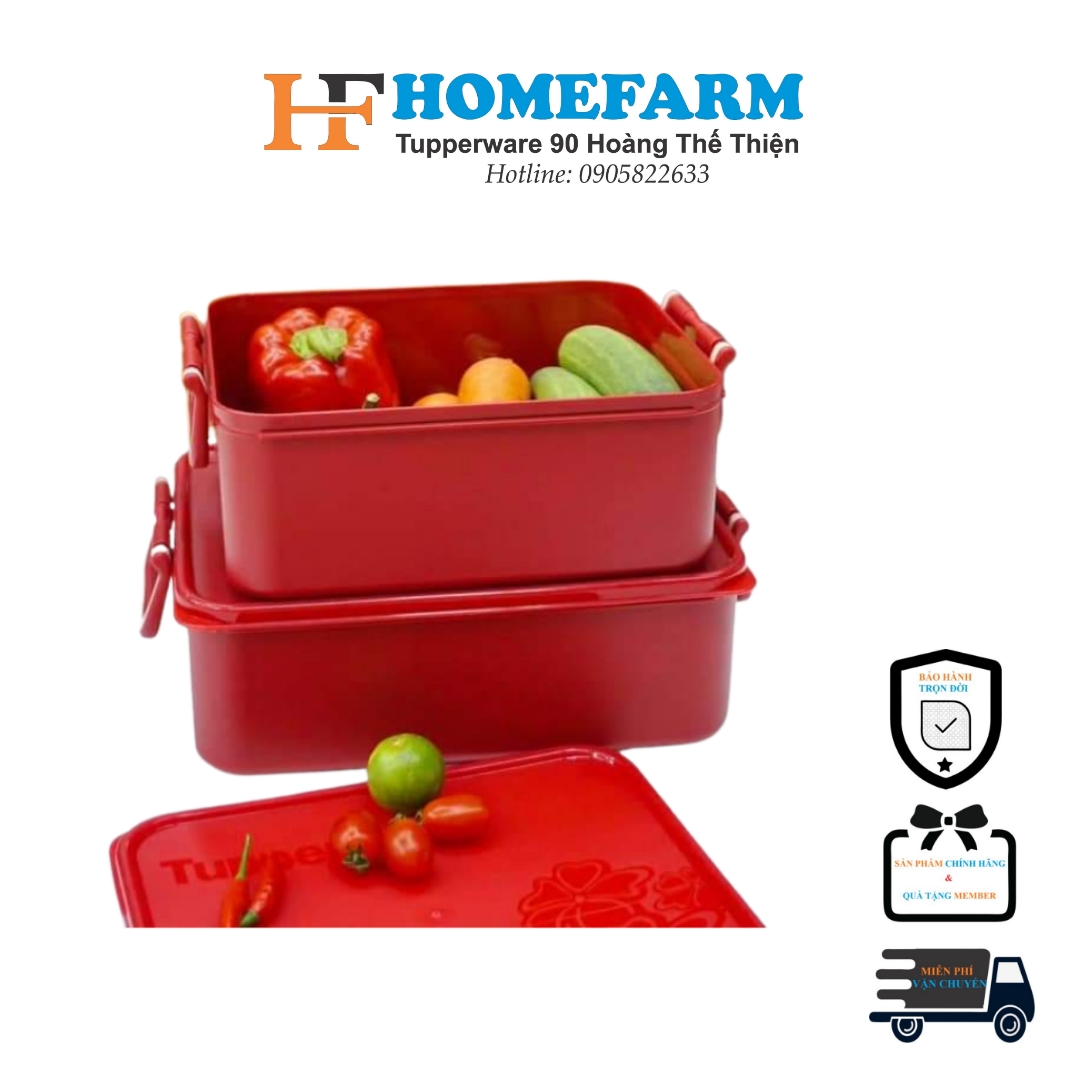 Bộ hộp bảo quản thực phẩm Tupperware ngâm