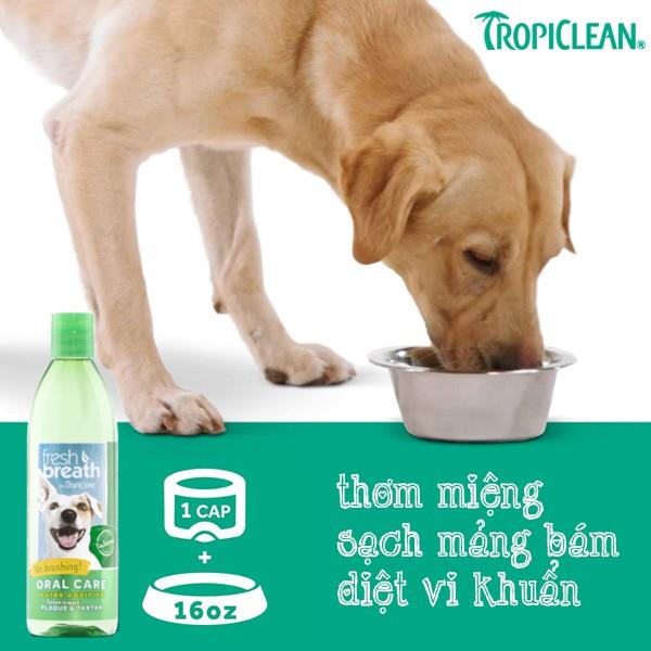 [Mã 1911FMCGSALE giảm 8  đơn 500K] [HSD2024] NƯỚC UỐNG GIẢM HÔI MIỆNG CHO CHÓ TROPICLEAN