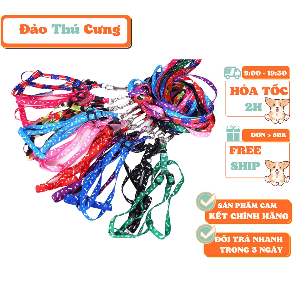 Dây dắt chó mèo dưới 5kg đủ màu sắc