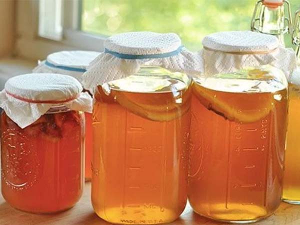 Nước mồi làm Kombucha 500ml