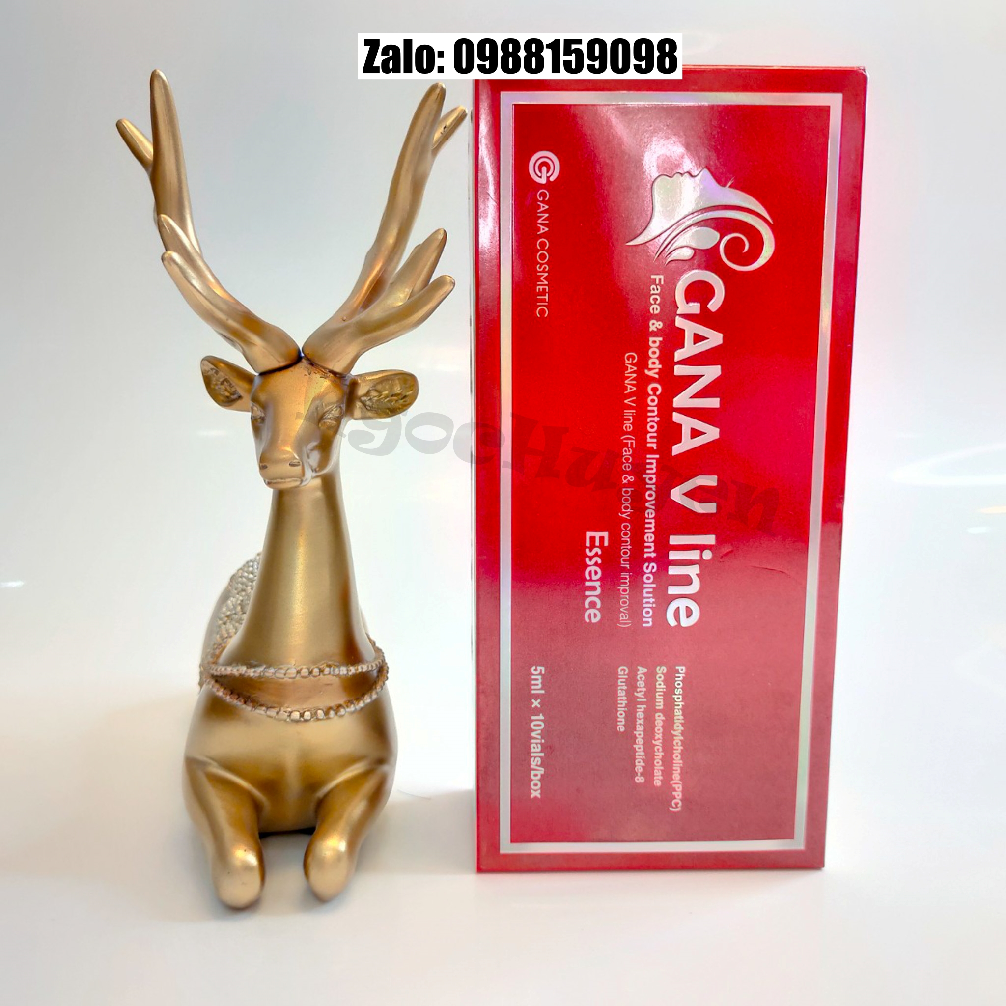 Gana vline bản mới tiêm tan mỡ giảm béo 1 hộp 10 lọ