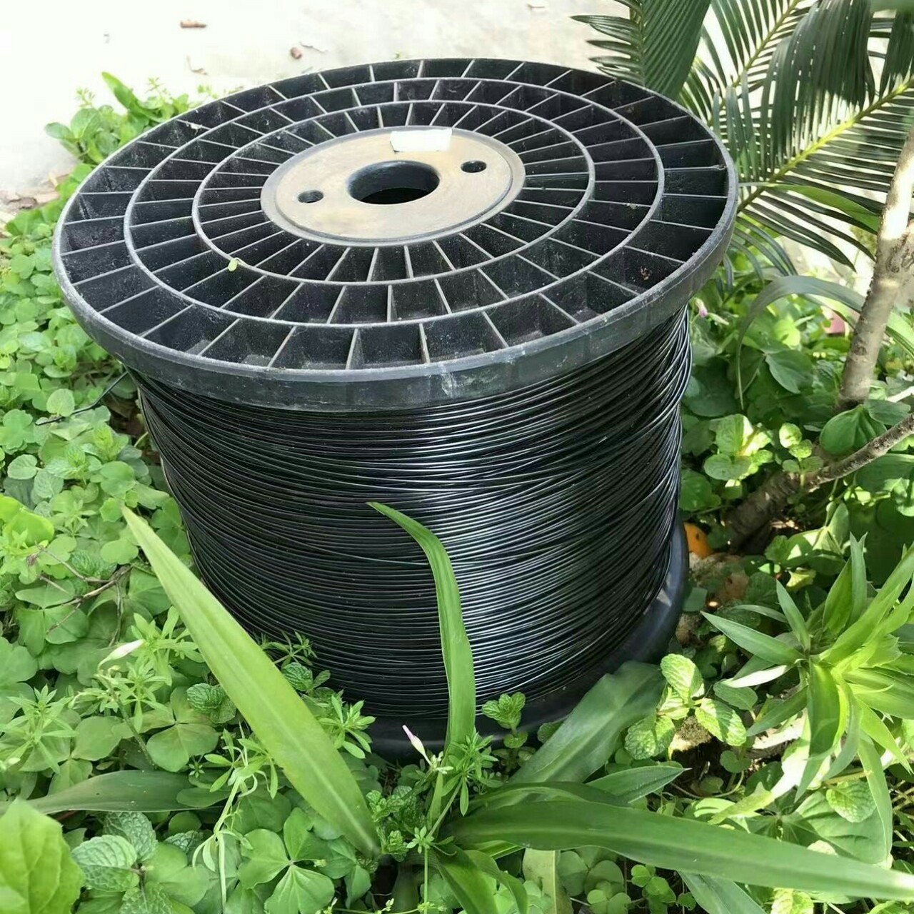 Dây căng giàn dây leo căng sầu riêng, bơ