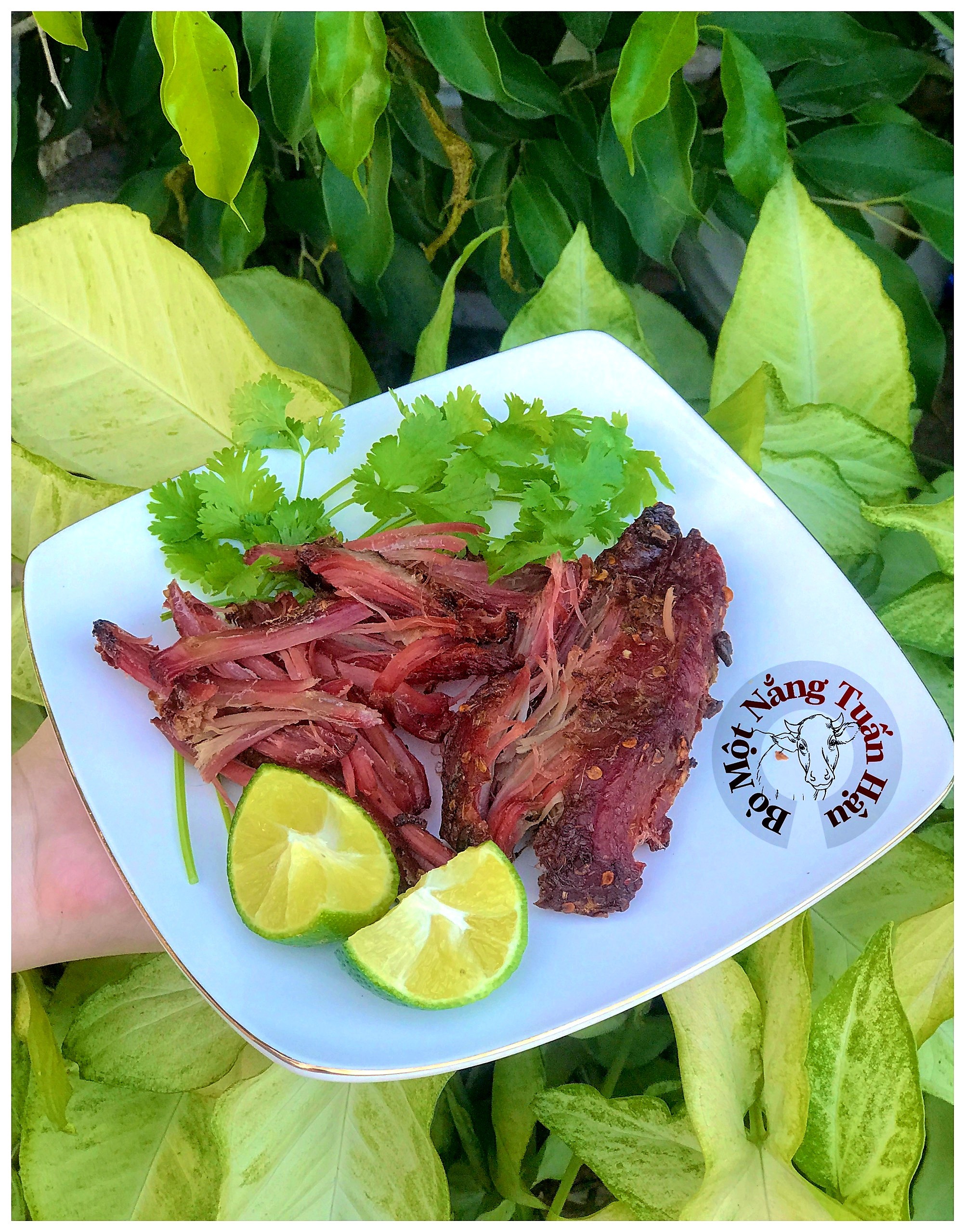 [FREESHIP+QUÀ] 250GR Nai gác bếp Tuấn Hậu Food chuẩn vị tây bắc tặng kèm muối chẩm chéo