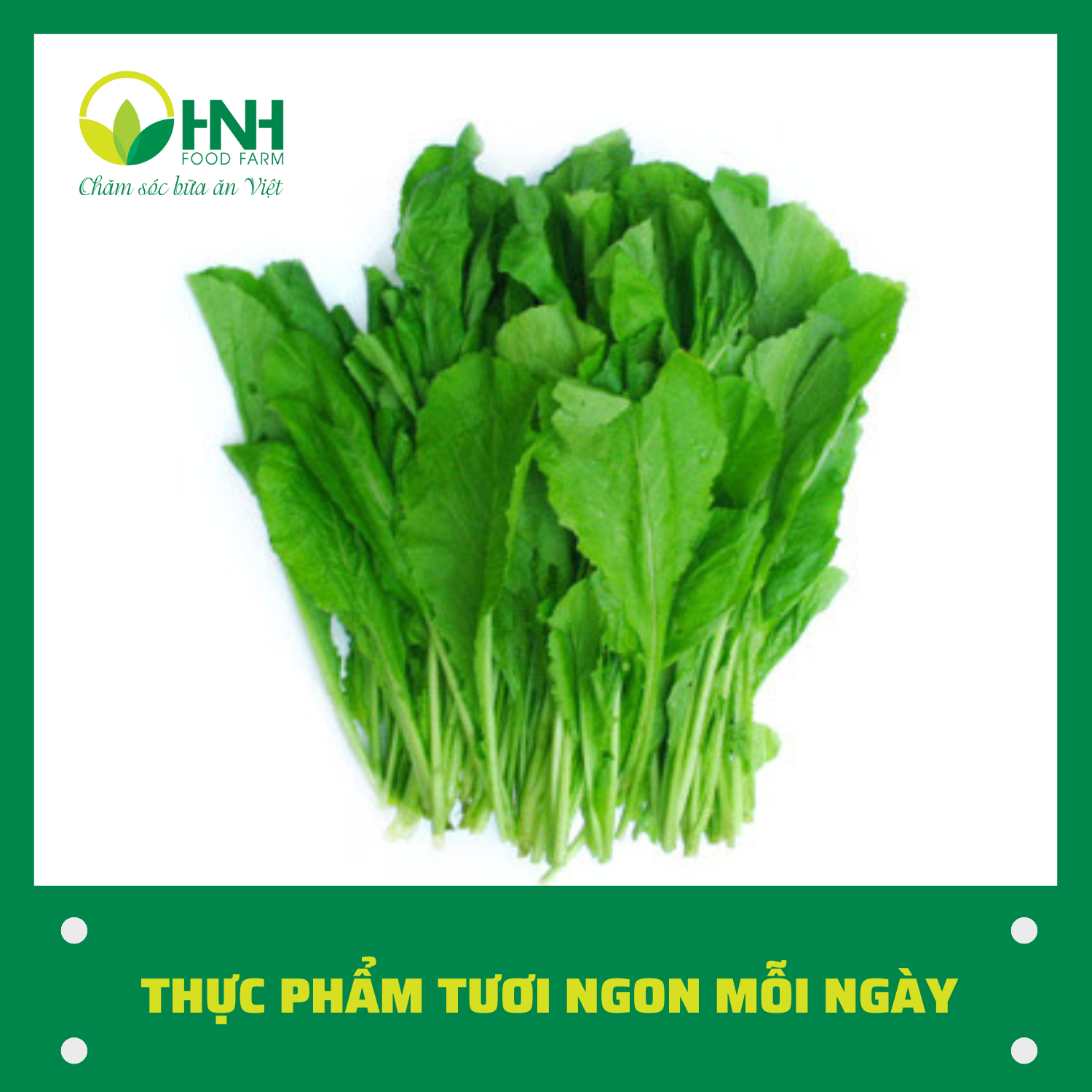 [CHỈ GIAO HÀ NỘI] Cải canh sạch ngon trợ giá mùa dịch - HNH Food Farm