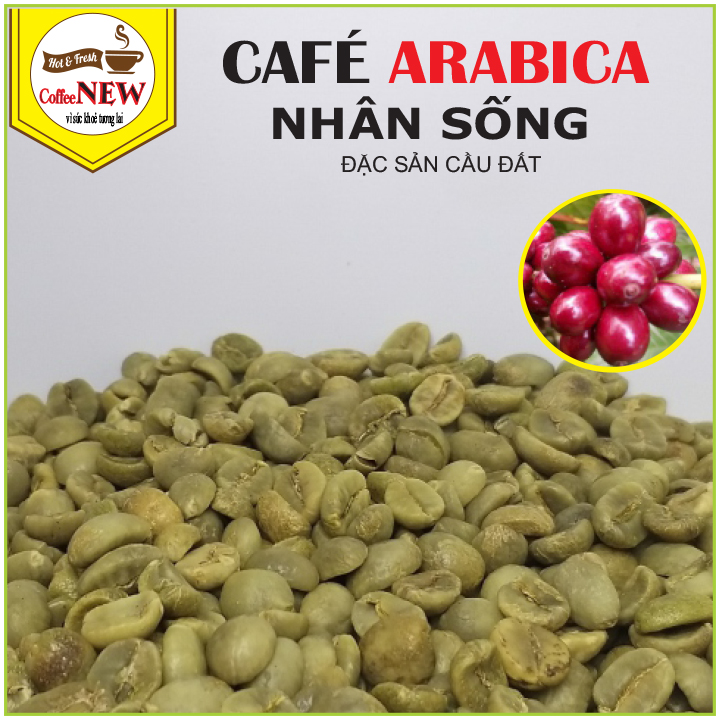 1KG Cafe nhân sống ARABICA Chưa Rang ĐẶC SẢN CẦU ĐẤT  Sàng 18 Hàng Chất Lượng Cao  Coffee New