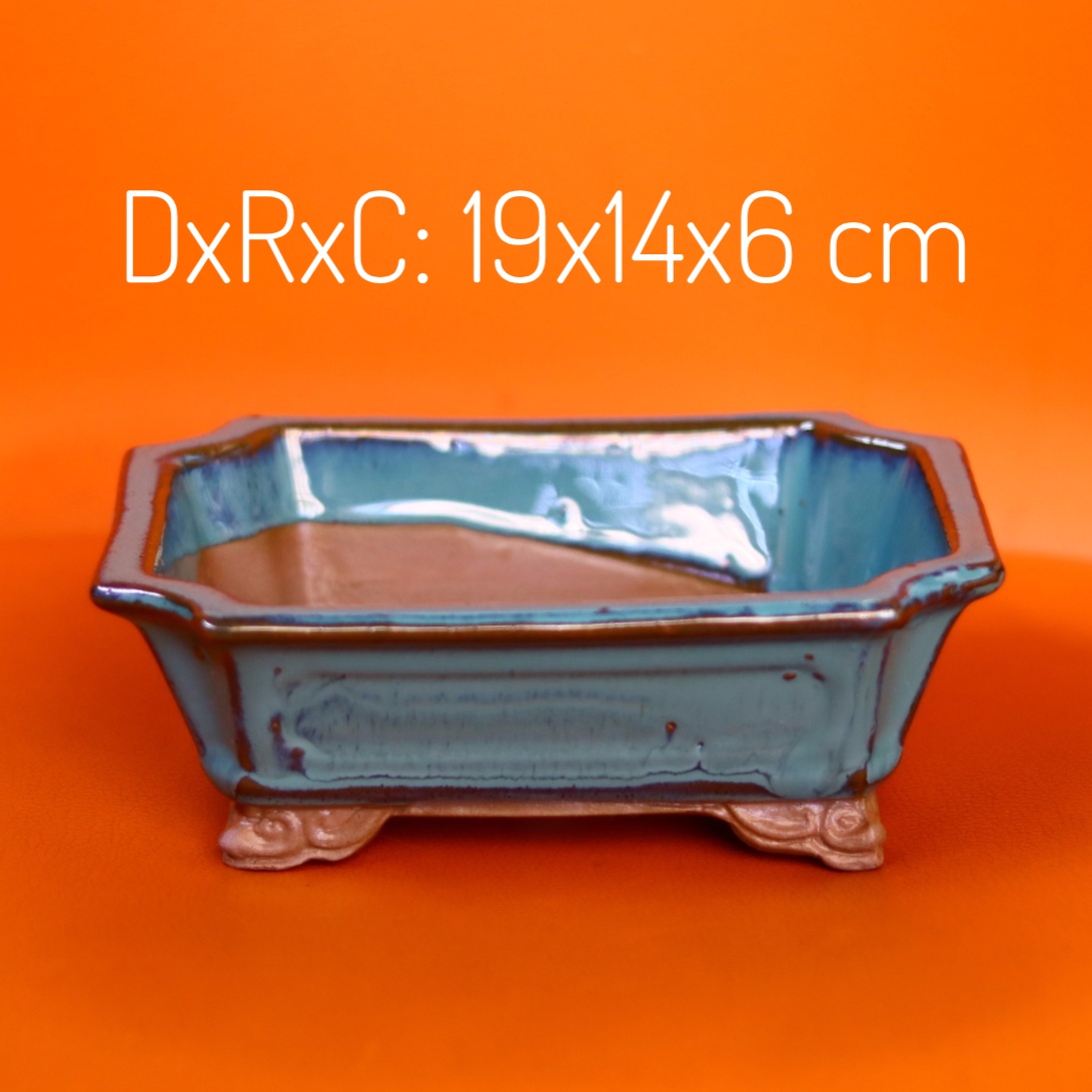 Chậu Sứ Trồng Cây Cảnh Để Bàn Cây Nội Thất Cây Bonsai Hình Chữ Nhật Lớn