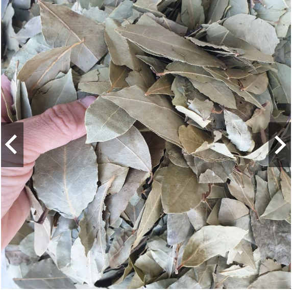 Lá nguyệt quế Khô