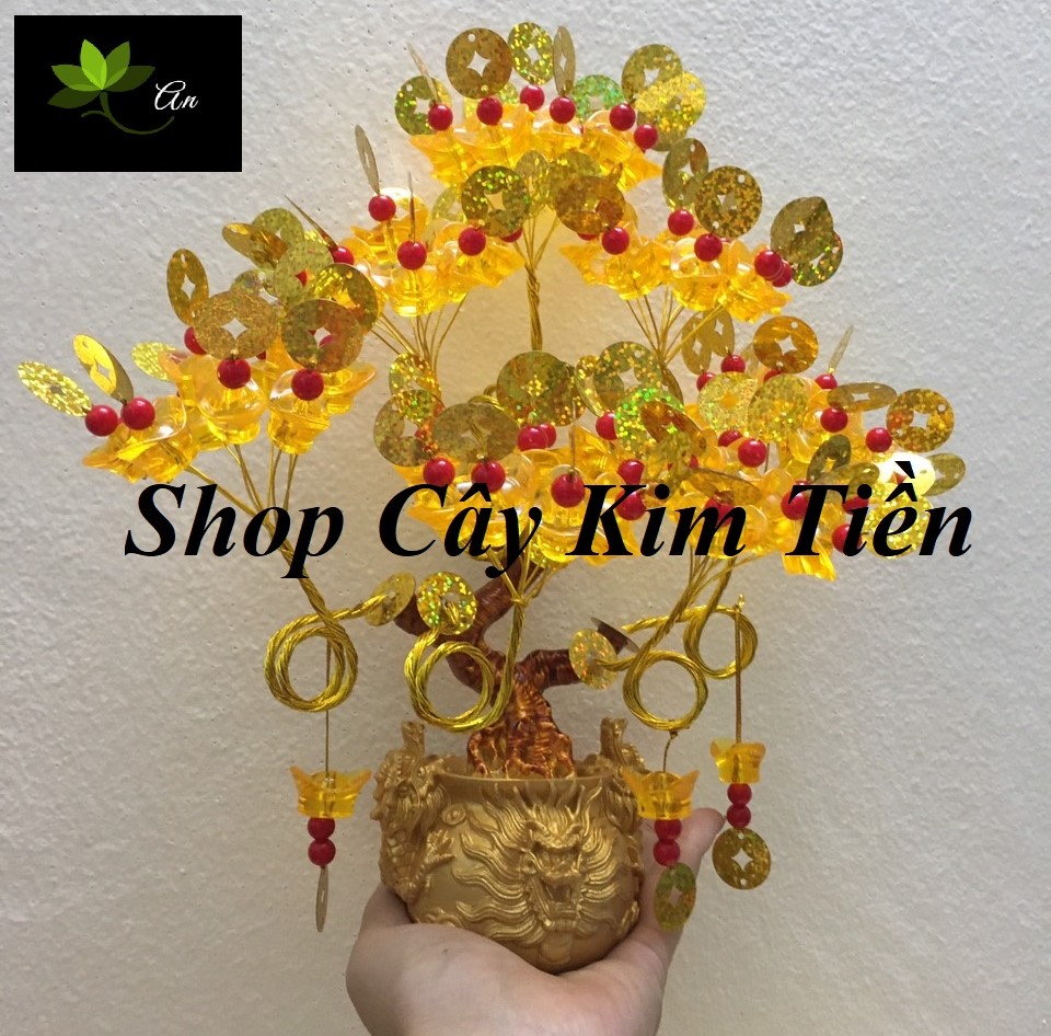 Cây kim tiền tài lộc 7 nhánh, 6 nhánh thỏi vàng