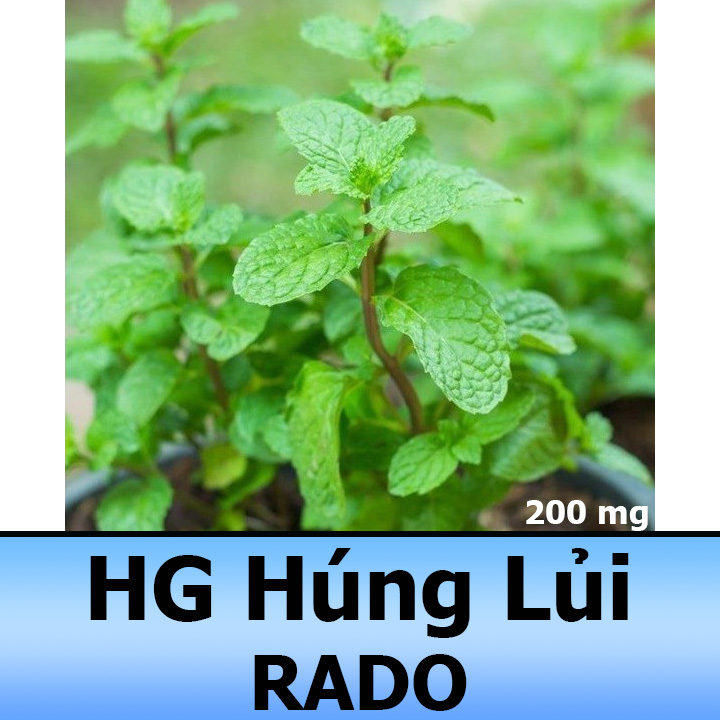 Hạt Giống Rau Húng Lủi - Bạc Hà Âu 0,2GR Dễ Trồng