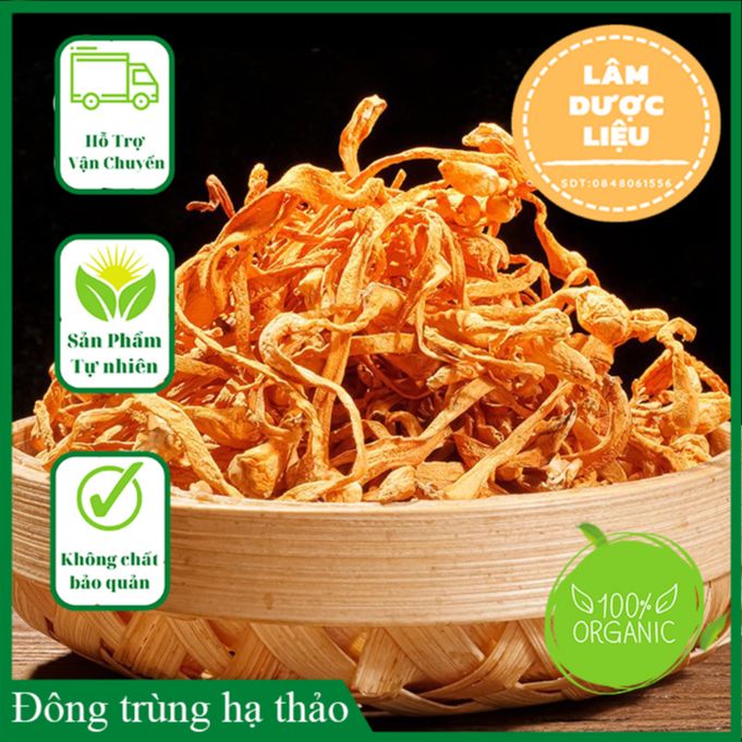 1kg Nấm đông trùng hạ thảo sấy khô
