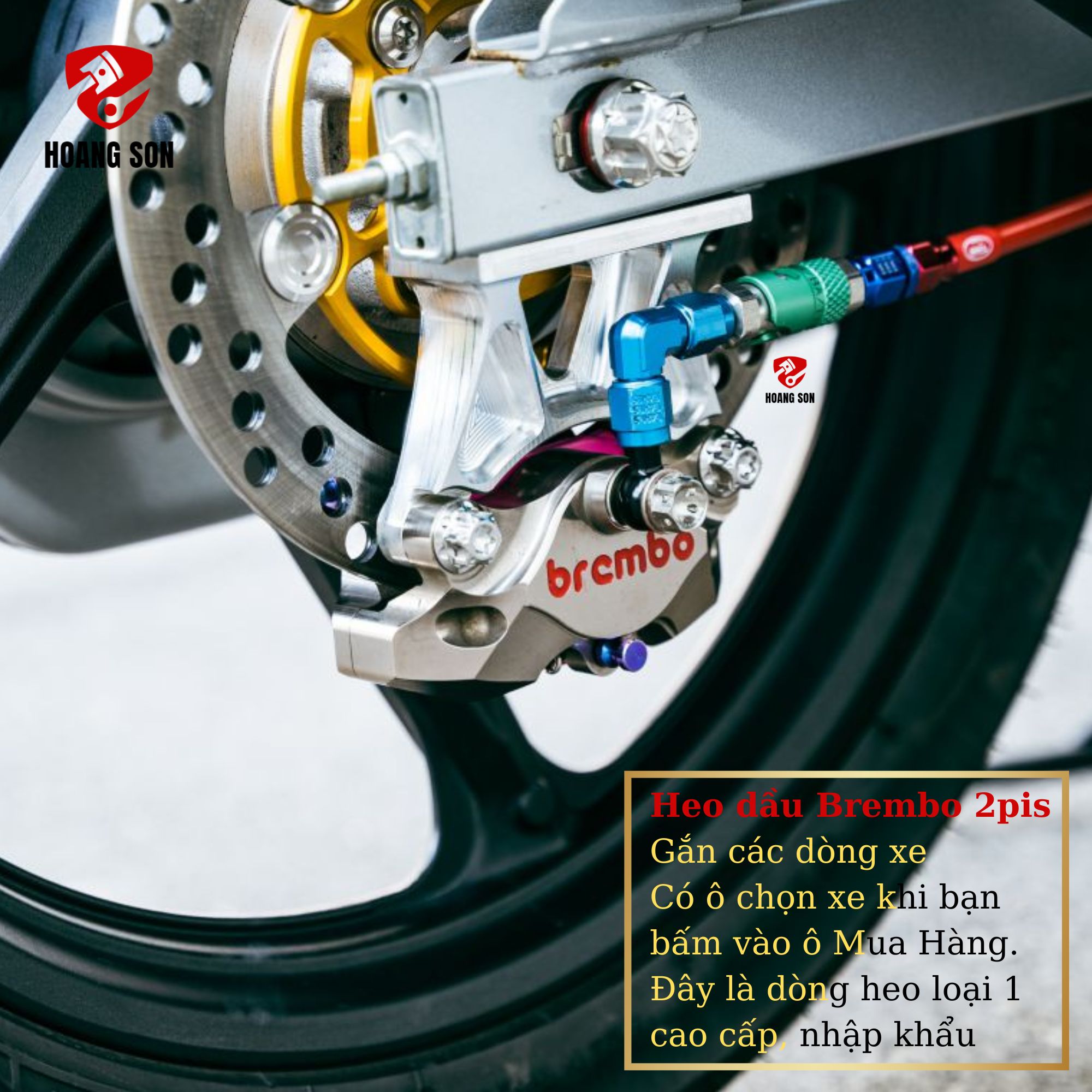 Full set heo dầu brembo 2pis bánh sau kèm pat ngược cao cấp-gồm heo dầu brembo 2 pit bilet màu bạc gắn bánh sau và pat ngược tặng ốc bắt heo dầu salaya-heo brembo bilet gắn bánh trước kèm pas tặng ốc pát heo dầu salaya- shop Hoàng Sơn