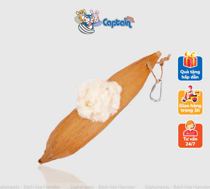 OIC Nệm gòn cho Hamster - Bách hóa Hamster