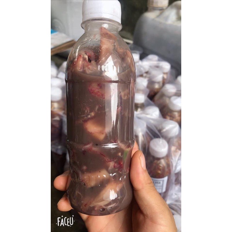 Mắm mực bình định - đặc sản bình định