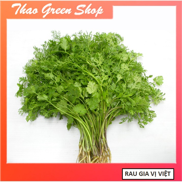 Hạt giống rau mùi tía cao sản 20g
