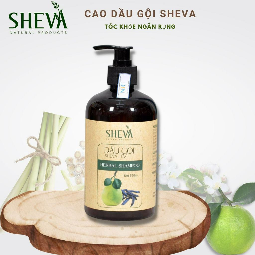 Dầu gội bồ kết - bưởi cô đặc, dầu gội thảo dược kích thích mọc tóc SHEVA 550ml