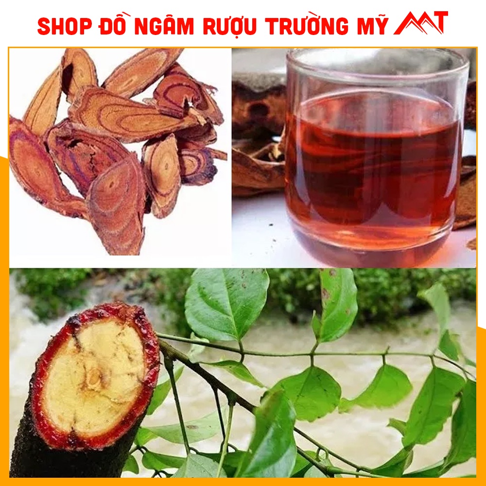 Cỏ máu tăng cân , cây cỏ máu, giúp tăng cân cho người gầy lâu năm đẹp da