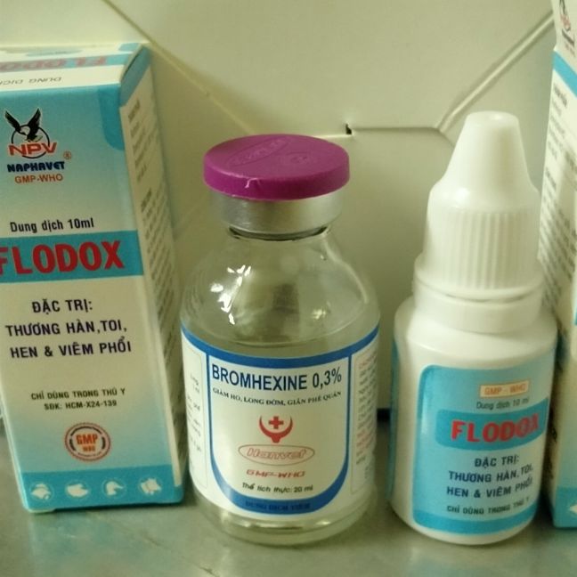 Bộ hen khẹc khò,tan đàm xổ mũi gà 2flodox 1bromhexin