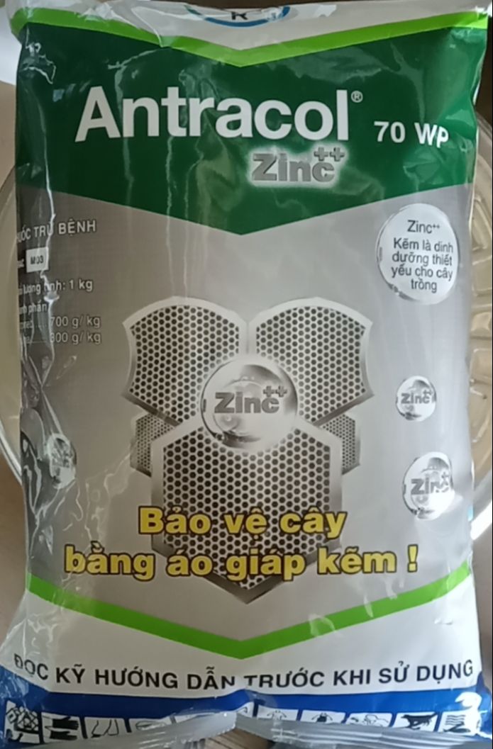 Thuốc trừ bệnh cây trồng antracol 70wp bayer 1kg