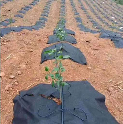 [HCM]10 tấm bạt phủ đất chống cỏ 1M2 X 1M2 Màng kiểm soát cỏ vườn màng phủ đất chống cỏ Bạt phủ gốc cây chống cỏ đa năng Bạt phủ đất chống cỏ dại