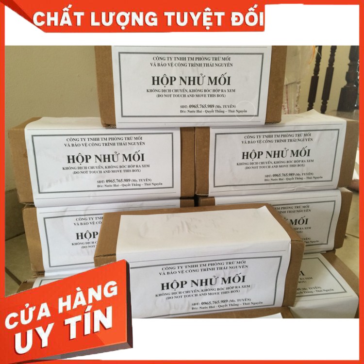 Hộp nhử mối