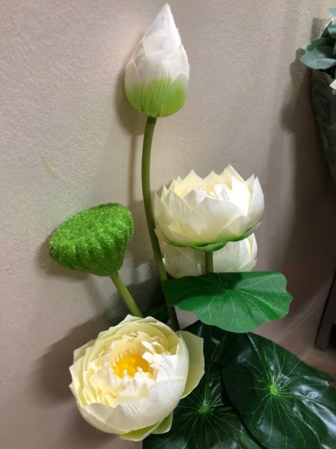 Cụm hoa sen cao cấp 10 nhánh, 70cm, có đài sen - Màu trắng