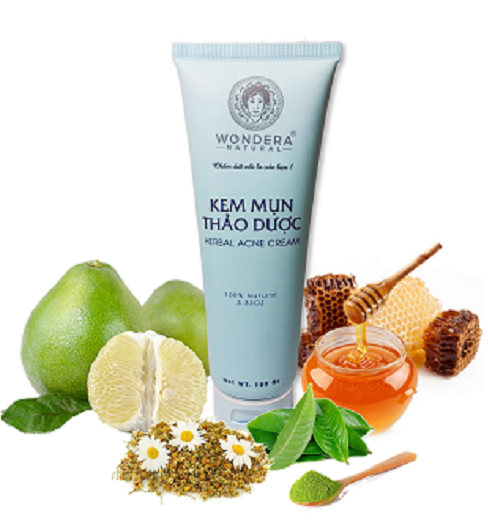 Kem Mụn Thảo Dược Wondera 100g