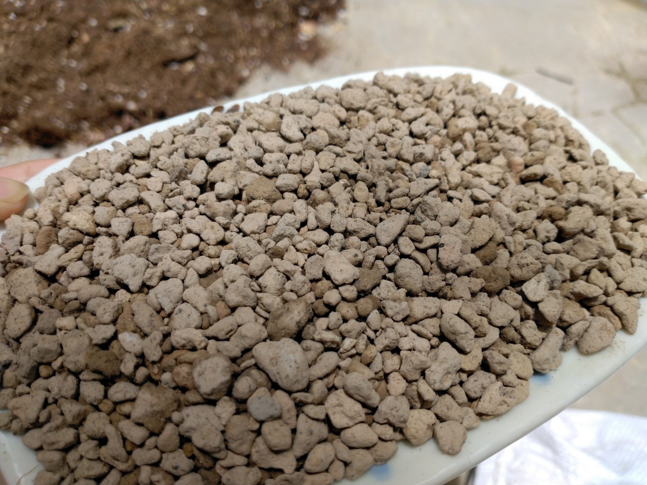 1L đá Pumice trồng sen đá, xương rồng