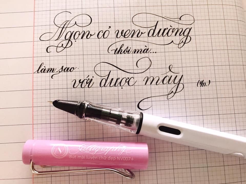 Bút mài Nét Việt NV007 ngòi lá tre không gỉ