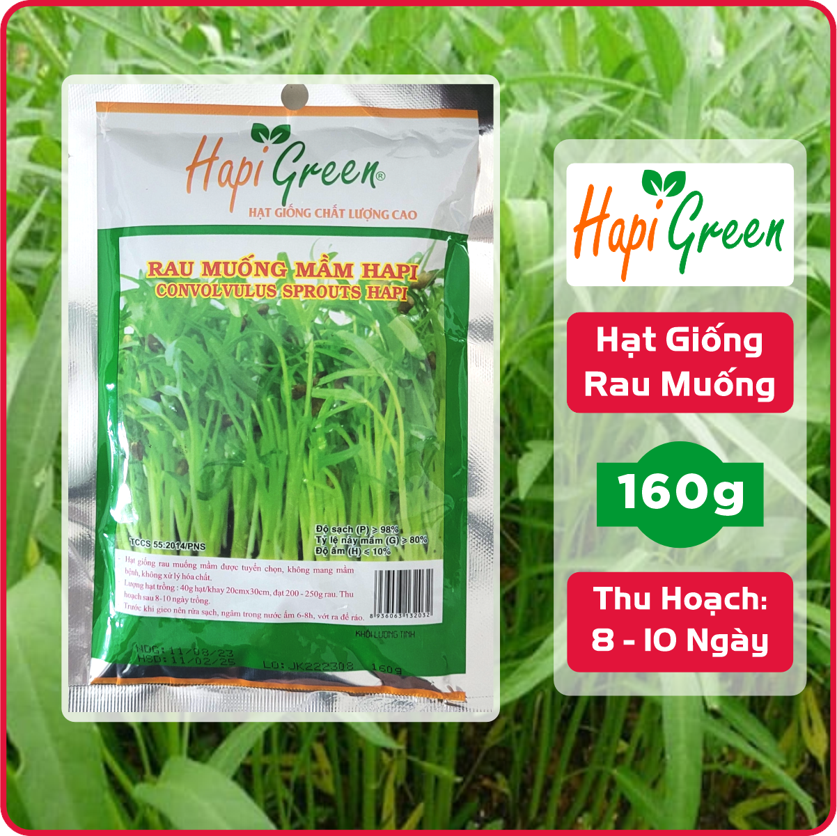 Hạt giống rau muống mầm hapi phú nông gói 160g