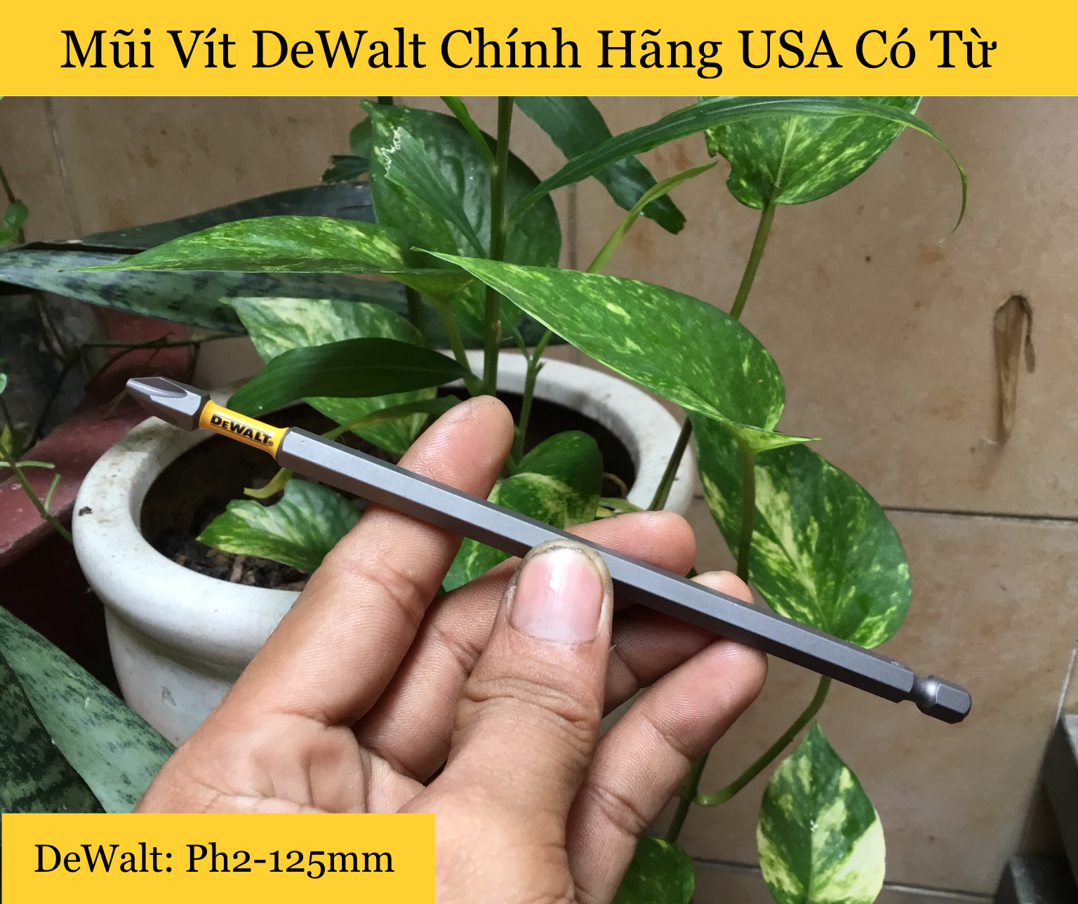 Mũi vít dewalt chính hãng ph2 152mm