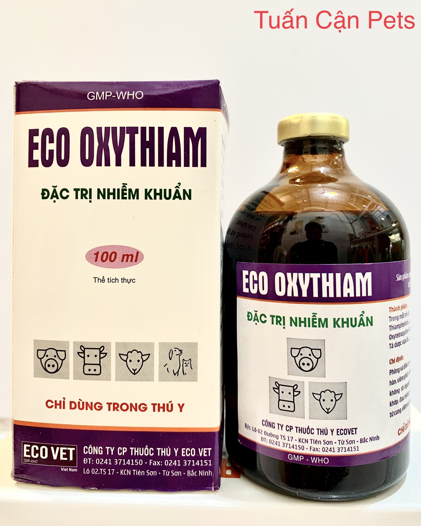 Eco Oxythiam(20ml-100ml) Hen khẹc, khò khè, tiêu chảy phan xanh, phân trắng, ho, viem phổi, tụ huyet trùng, bỏ ăn không rõ nguyên nhân