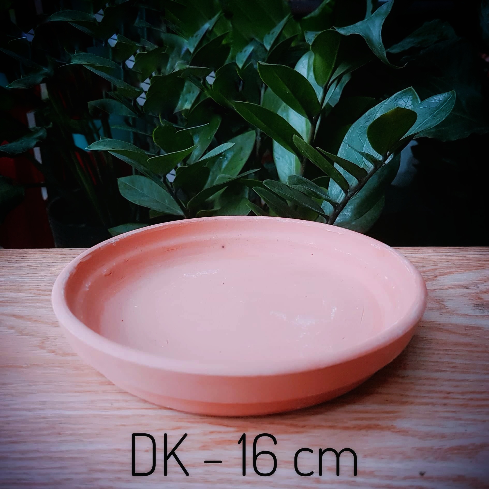 Dĩa lót chậu đất nung nhiều kích thước màu nâu hoặc trắng trồng sen đá, xương rồng, tiểu cảnh