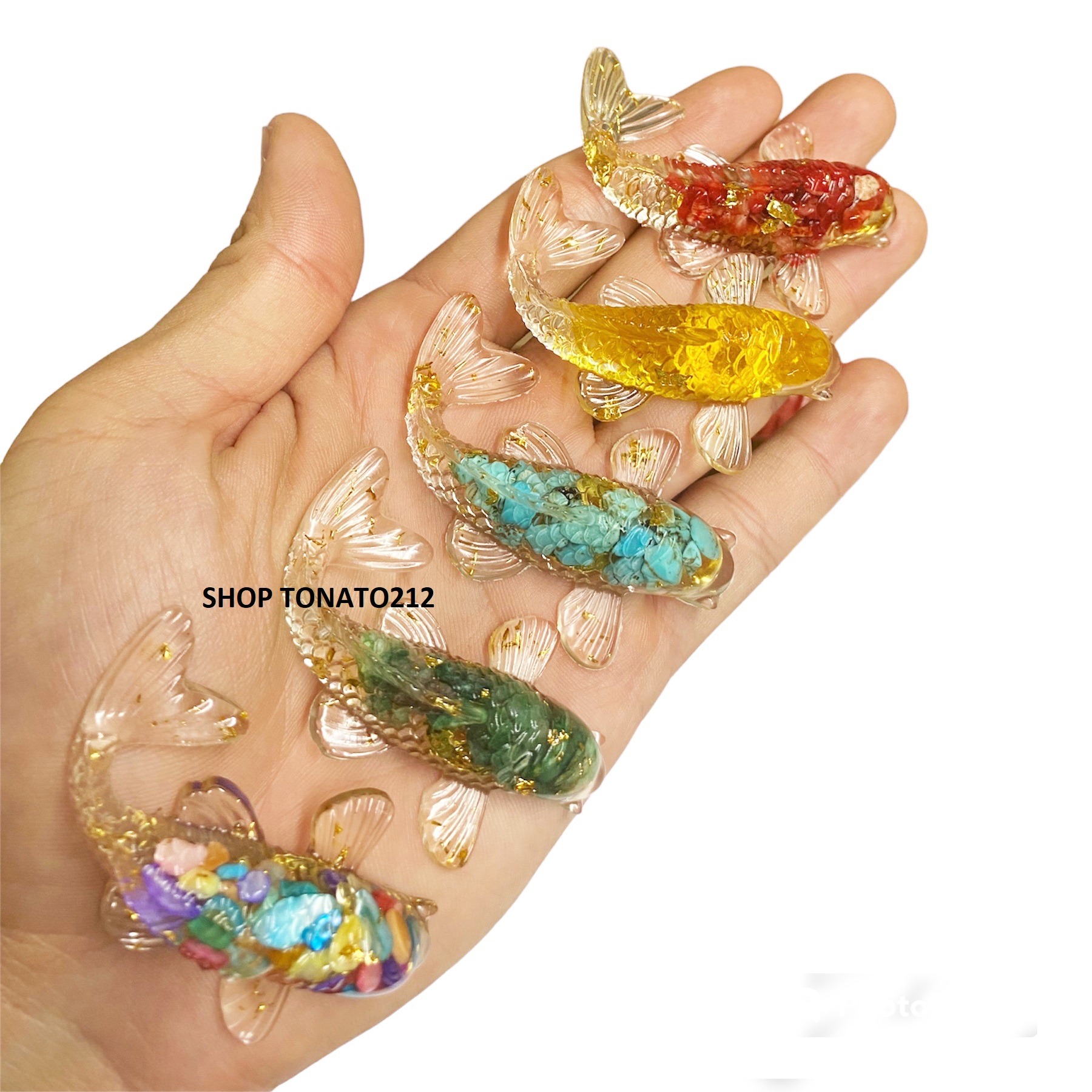 Cá koi phong thủy thả bát hoa minh đường tụ thủy