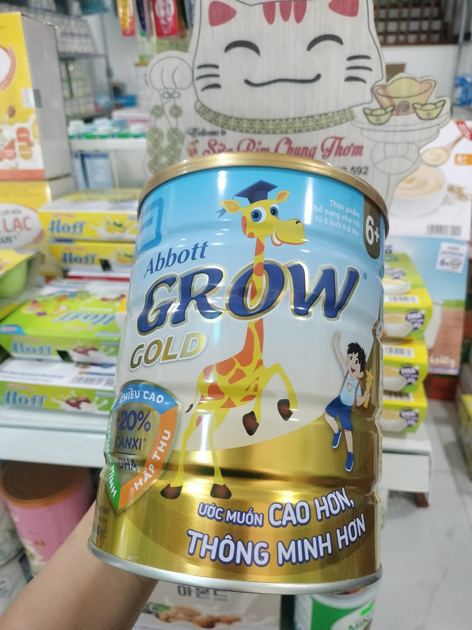 Sữa bột Abbott Grow 6+ 900g lon
