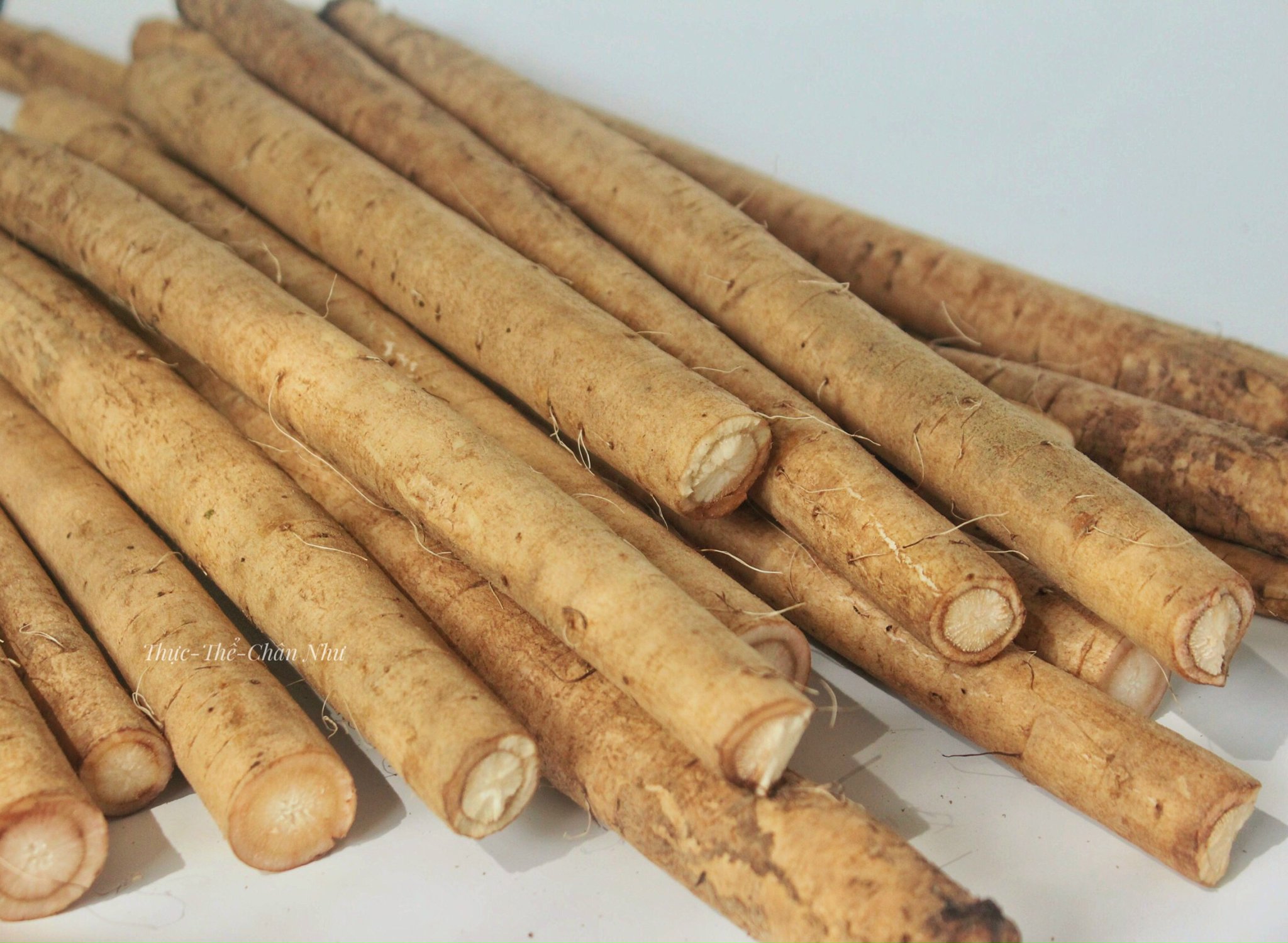 Củ ngưu bàng nhật bản