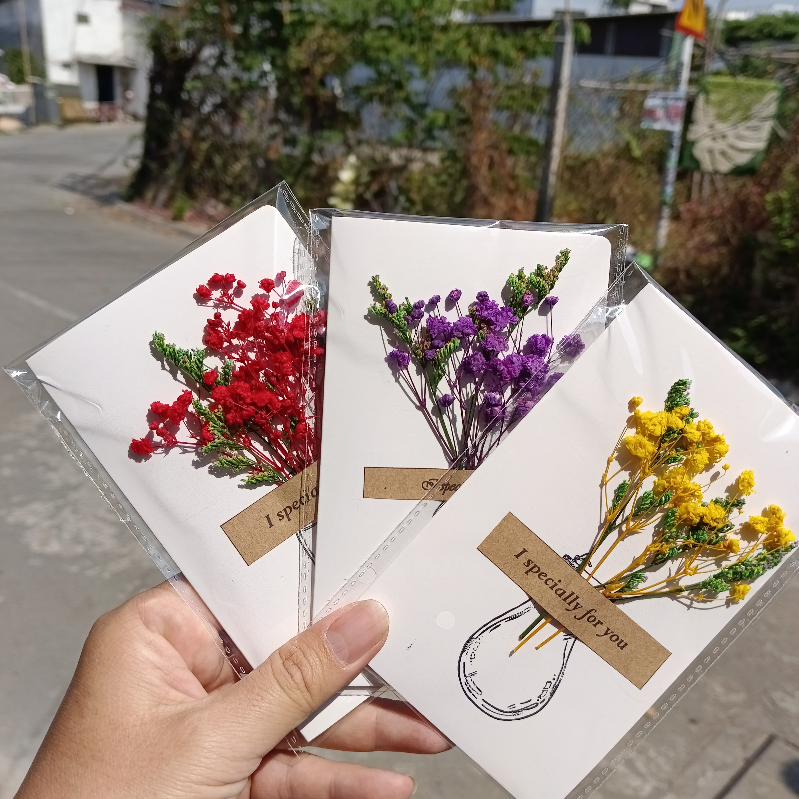 Thiệp hoa khô cẩm tú cầu, hoa babi khô, quà tặng, kỷ niệm