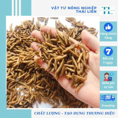 Sâu Canxi sấy khô làm thức ăn cho cá chép Nhật, chim cảnh, gà chọi, chuột hamster,.... sâu sấy khô sạch sẽ, gọn nhẹ, tiết kiệm