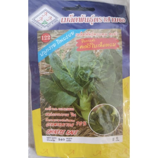 Hạt giống cải rổ thân to thái lan