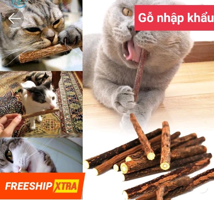 [HCM] Set 5 Thanh Gỗ Matatabi Nhai Gặm Cho Mèo Giúp Làm Sạch Răng Và Thư Giãn. Đồ chơi cho mèo