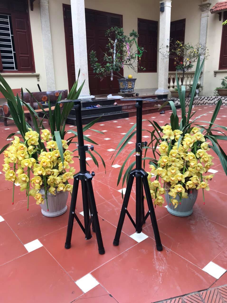 CHÂN LOA HỘI TRƯỜNG MINI KT 60-120CM HÀNG DÀY ĐẸP